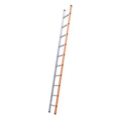 Skyworks 1x10 Enkele Rechte Ladder – 2.96m | Licht & Sterk